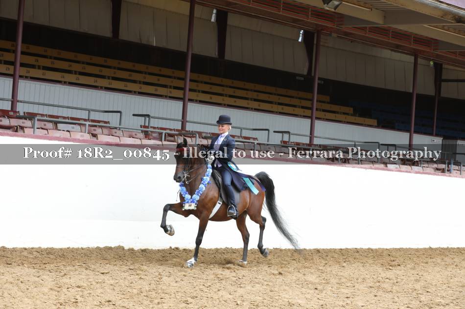 Proof 18R2_00845