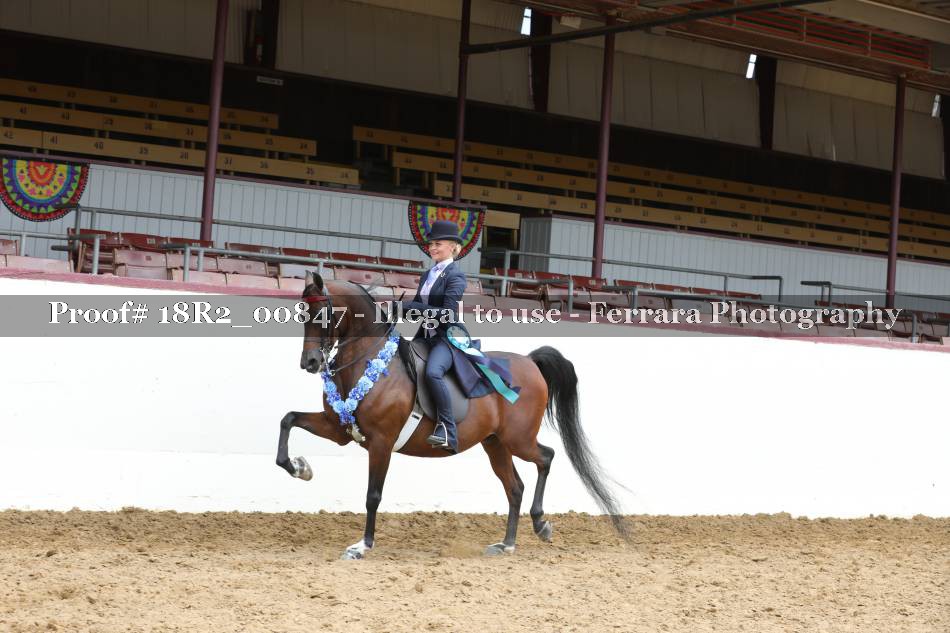 Proof 18R2_00847
