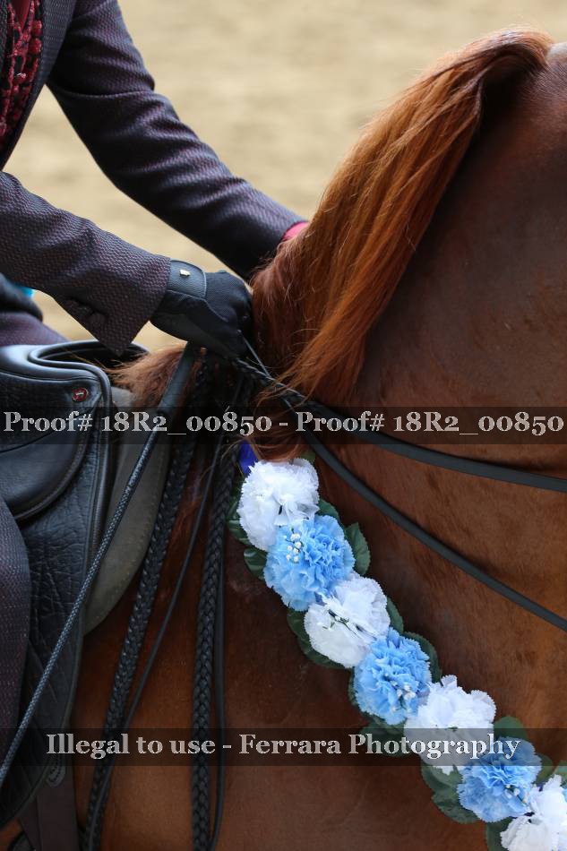 Proof 18R2_00850