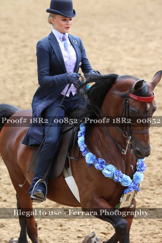 Proof 18R2_00852