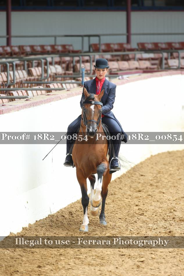 Proof 18R2_00854