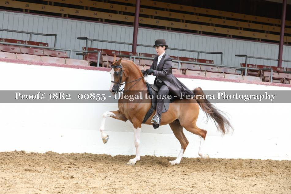 Proof 18R2_00855