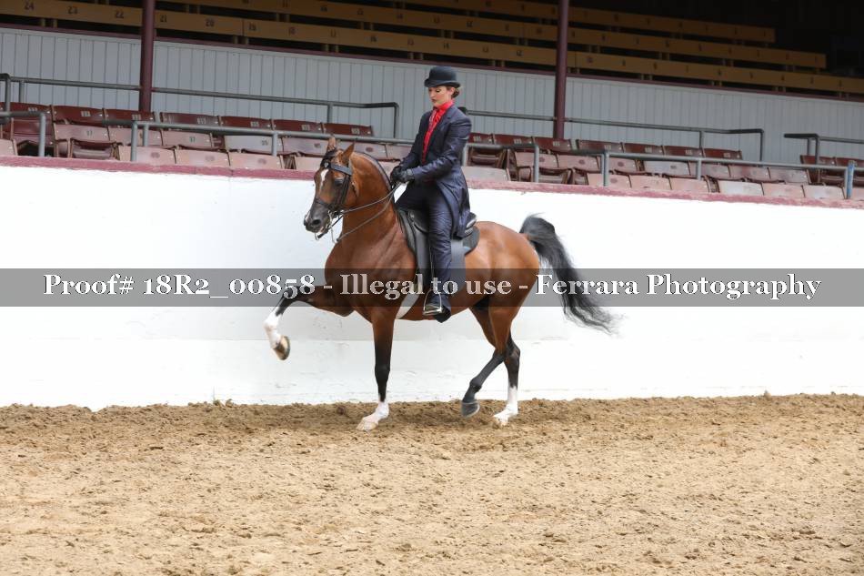 Proof 18R2_00858