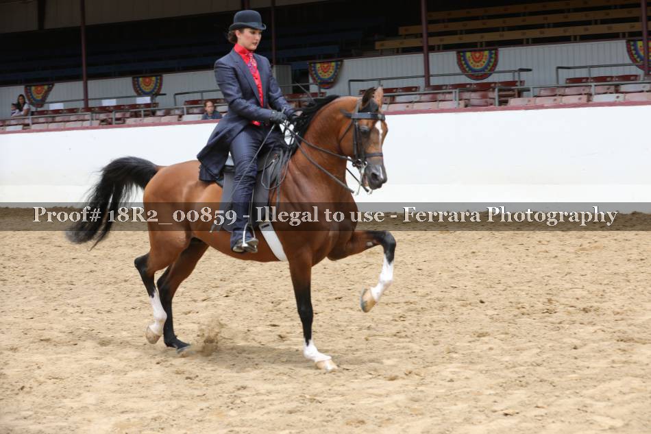 Proof 18R2_00859