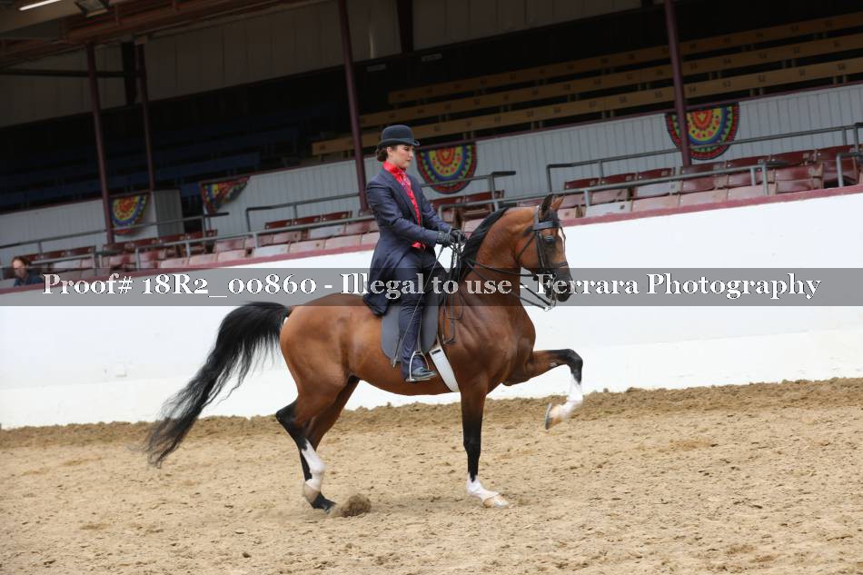 Proof 18R2_00860