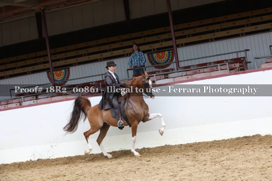 Proof 18R2_00861