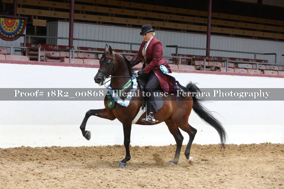 Proof 18R2_00868
