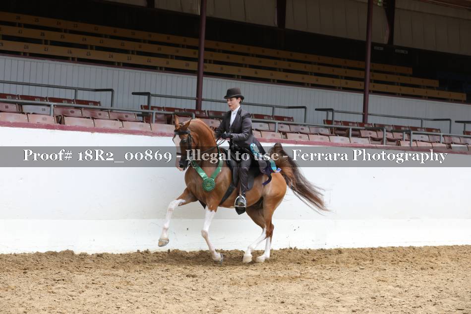 Proof 18R2_00869