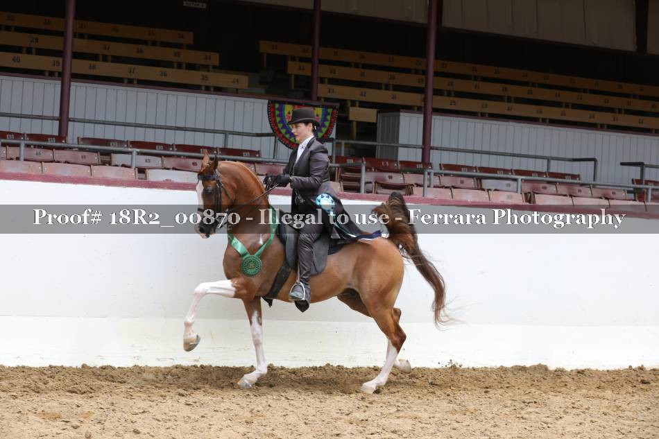Proof 18R2_00870
