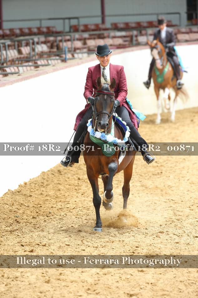 Proof 18R2_00871