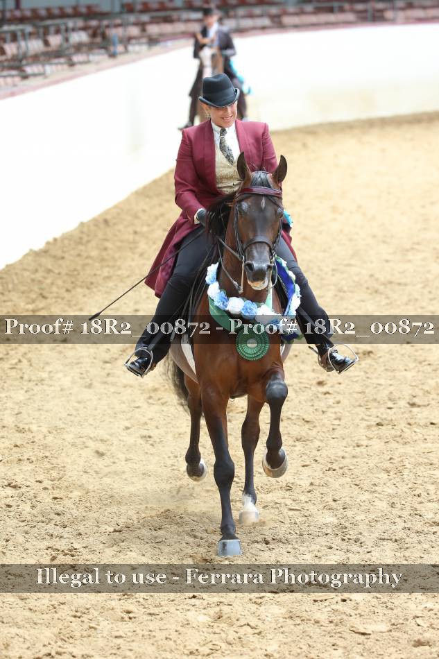 Proof 18R2_00872