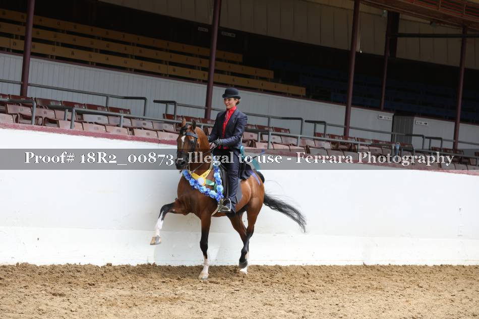 Proof 18R2_00873