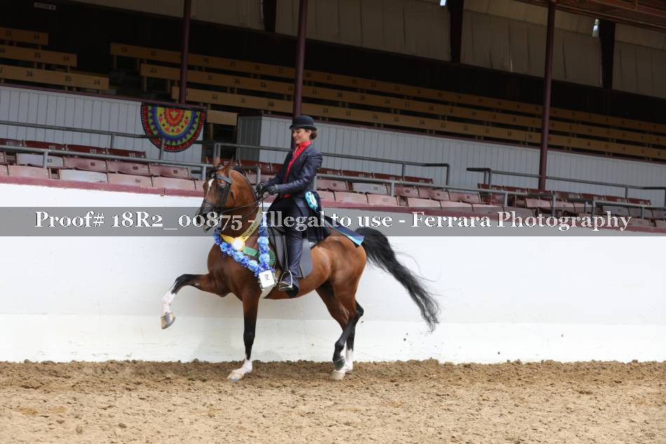 Proof 18R2_00875