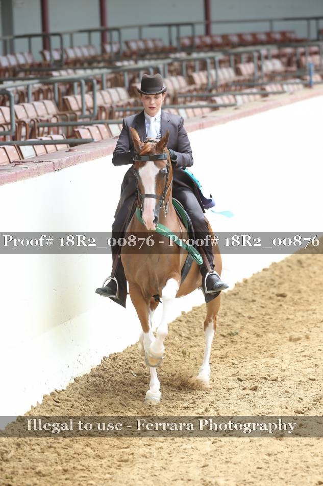 Proof 18R2_00876