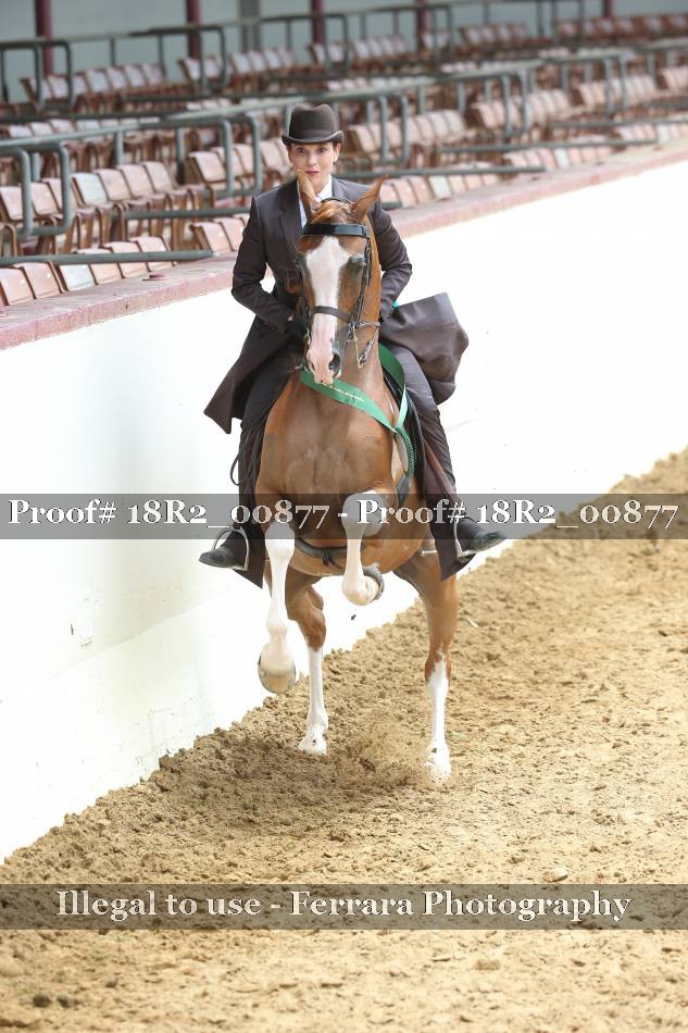Proof 18R2_00877