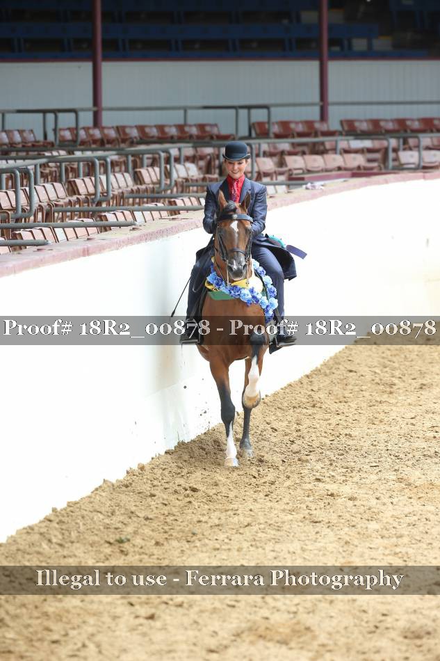 Proof 18R2_00878