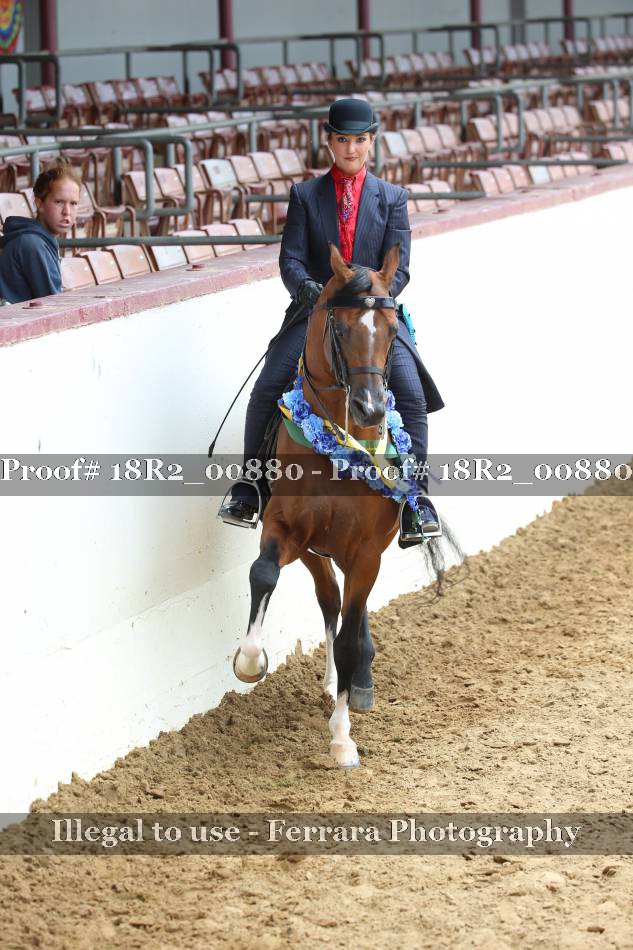 Proof 18R2_00880