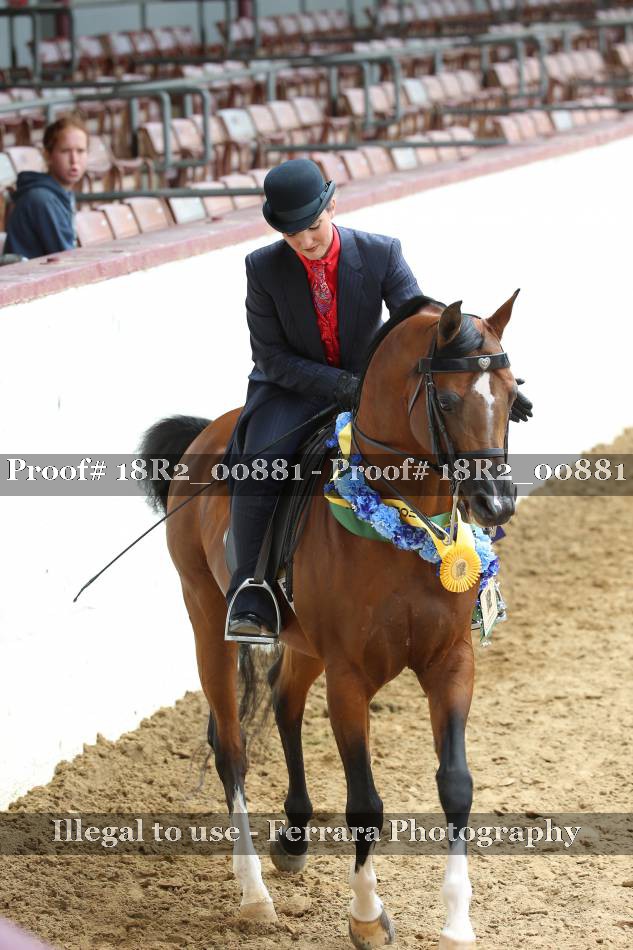 Proof 18R2_00881