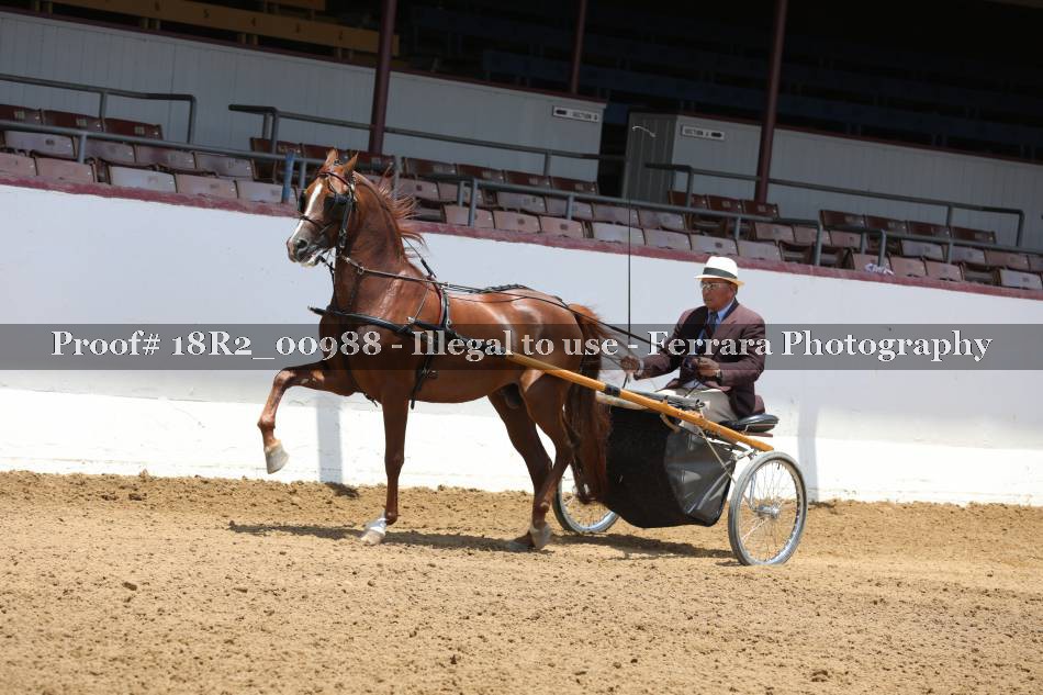 Proof 18R2_00988