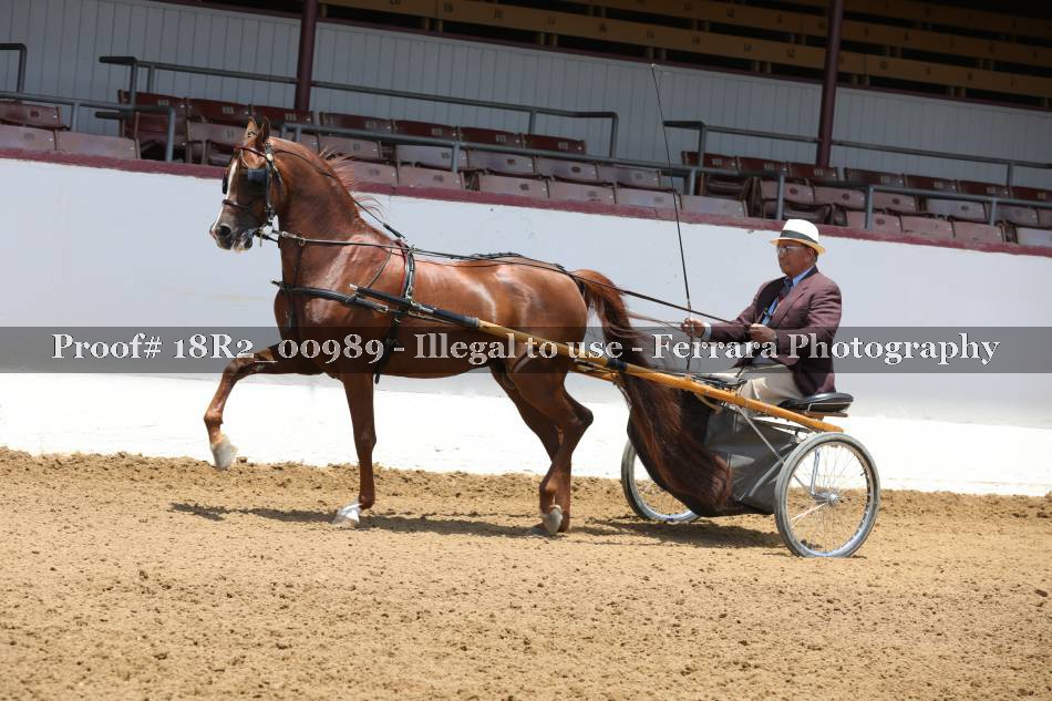 Proof 18R2_00989