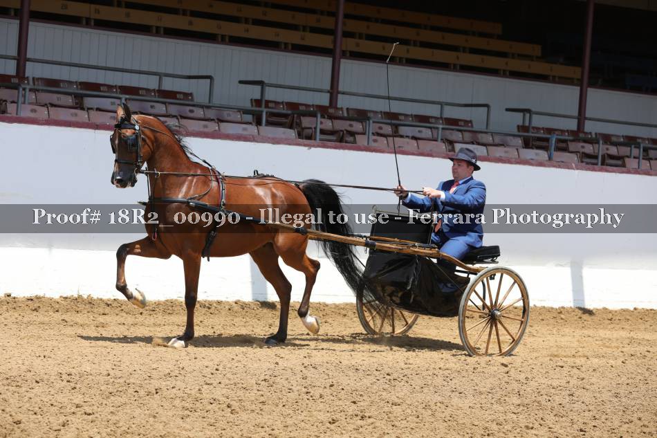 Proof 18R2_00990
