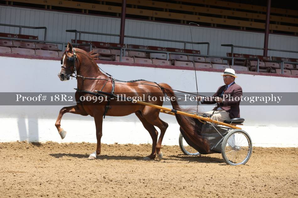 Proof 18R2_00991