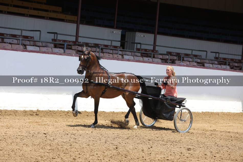 Proof 18R2_00992