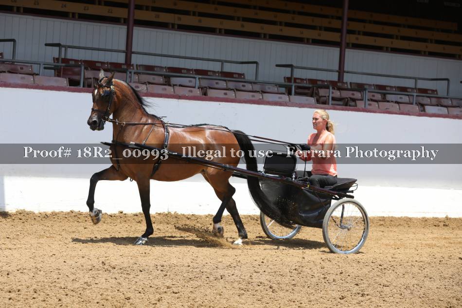 Proof 18R2_00993