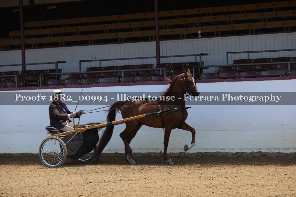 Proof 18R2_00994