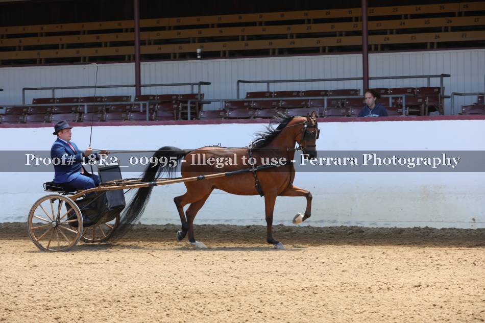 Proof 18R2_00995