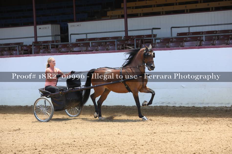 Proof 18R2_00996