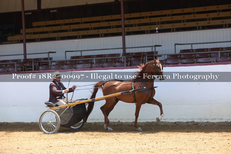Proof 18R2_00997