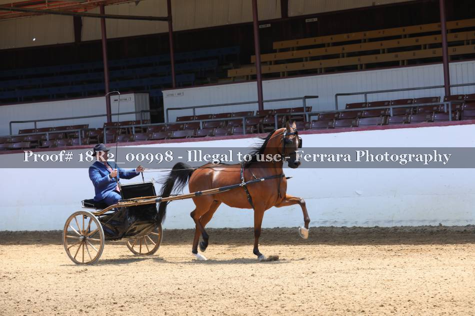 Proof 18R2_00998
