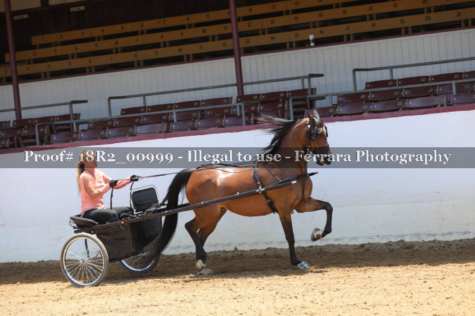 Proof 18R2_00999