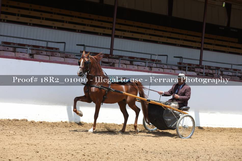Proof 18R2_01000