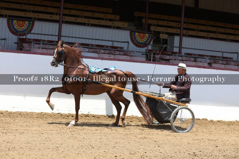 Proof 18R2_01001