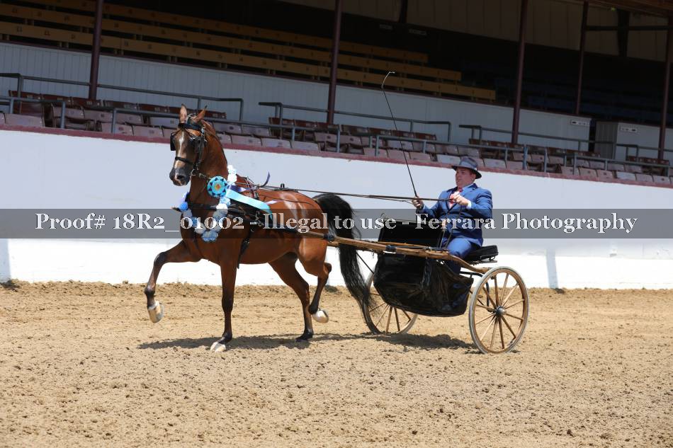 Proof 18R2_01002