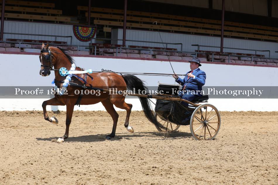 Proof 18R2_01003