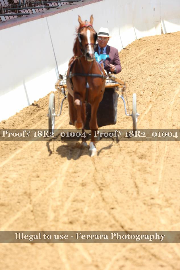 Proof 18R2_01004