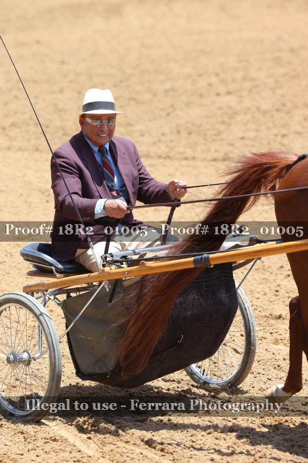 Proof 18R2_01005