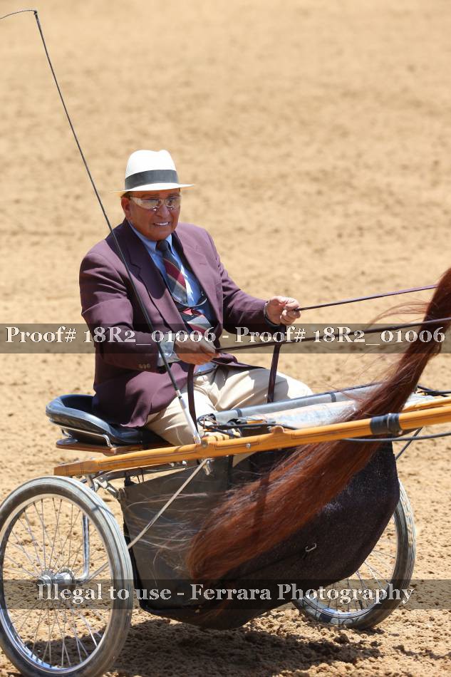 Proof 18R2_01006