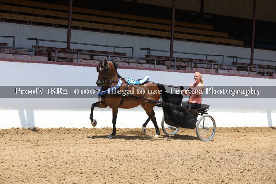 Proof 18R2_01007