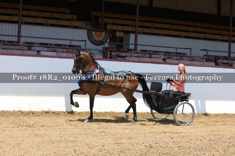 Proof 18R2_01008