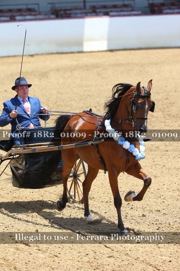 Proof 18R2_01009