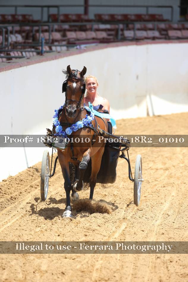 Proof 18R2_01010