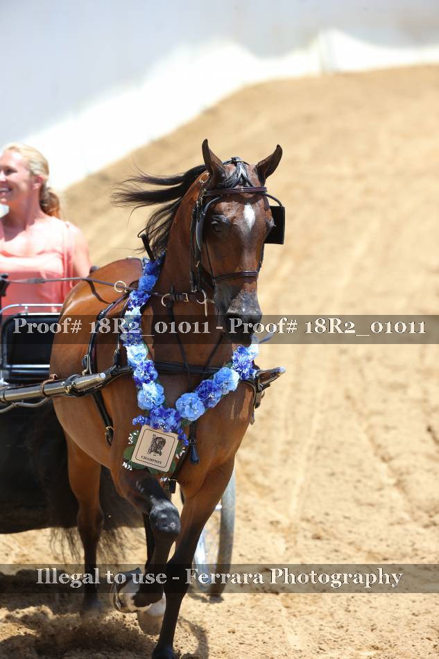 Proof 18R2_01011