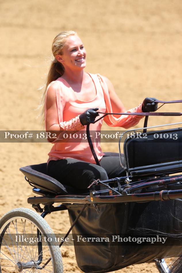 Proof 18R2_01013
