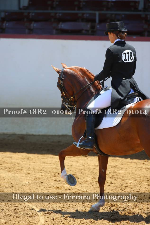 Proof 18R2_01014