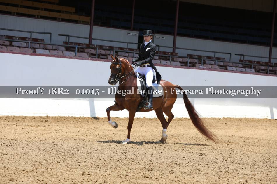 Proof 18R2_01015