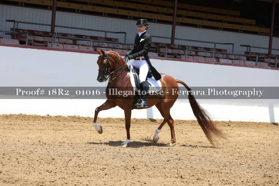 Proof 18R2_01016